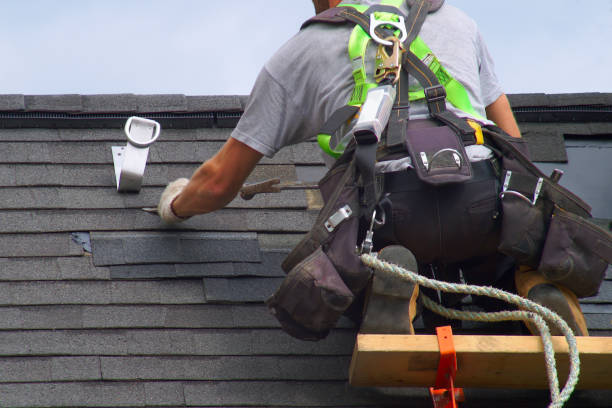 Best Metal Roofing Contractor  in Virden, IL