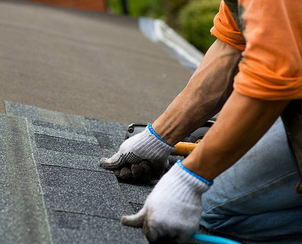 Best Roof Waterproofing Services  in Virden, IL